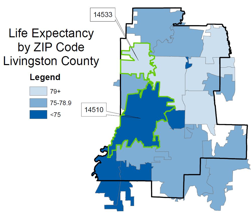 Life Expectancy Although average life expectancy in Livingston County is 78.4 years, how long residents live on average varies by more than 6 years depending on their ZIP code.