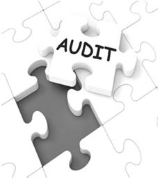 Meaningful Use Audits The same CMS guidance also stated: The accounting firm Figliozzi & Company will be the designated contractor performing audits on behalf of CMS, and will perform audits on