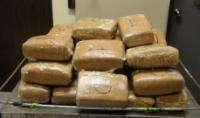 98 lbs of marijuana concealed within the