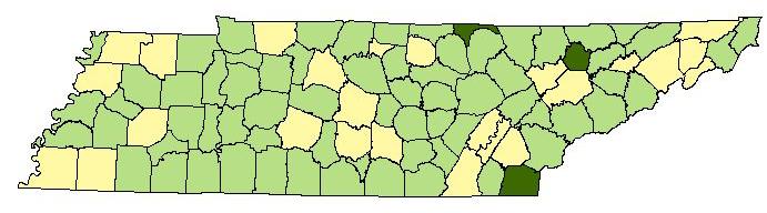 Tennessee s Entrepreneurial Counties: 2 Microenterprise Employment as Percent of Total Nonfarm Employment, 2006 Source: Bureau of Economic Analysis Regional Economic Information System; U.