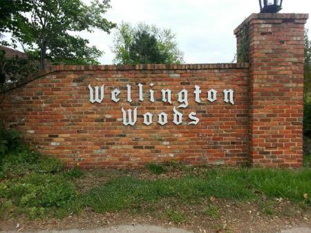 Volume 15, Issue 1 Jan-June 2018 Wellington Woods Neighborhood News Virginia Beach, VA 23454 Mission Statement: Our mission is to have a unified voice that protects and enhances the value and living