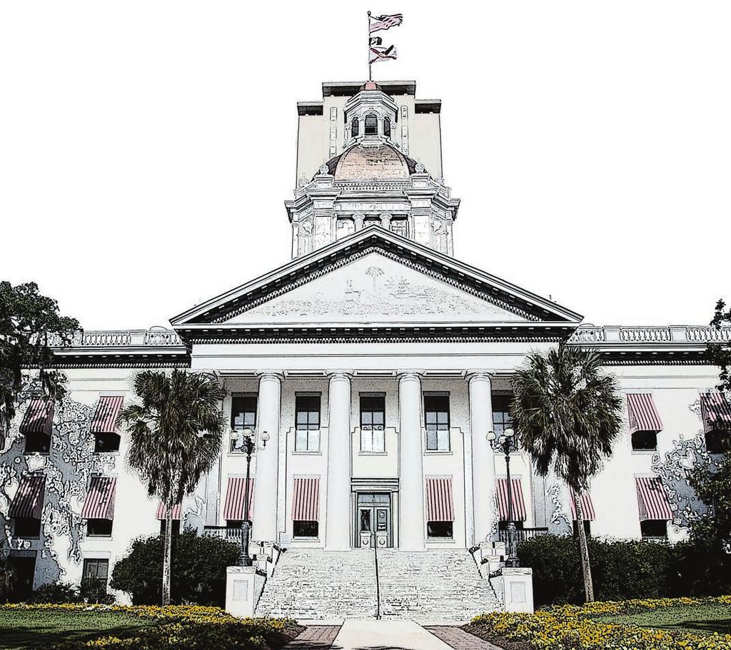 Making Florida Government More Efficient In order for Florida to continue moving in the right direction, our state must ensure all 67 counties and 412 cities are working toward a common goal making