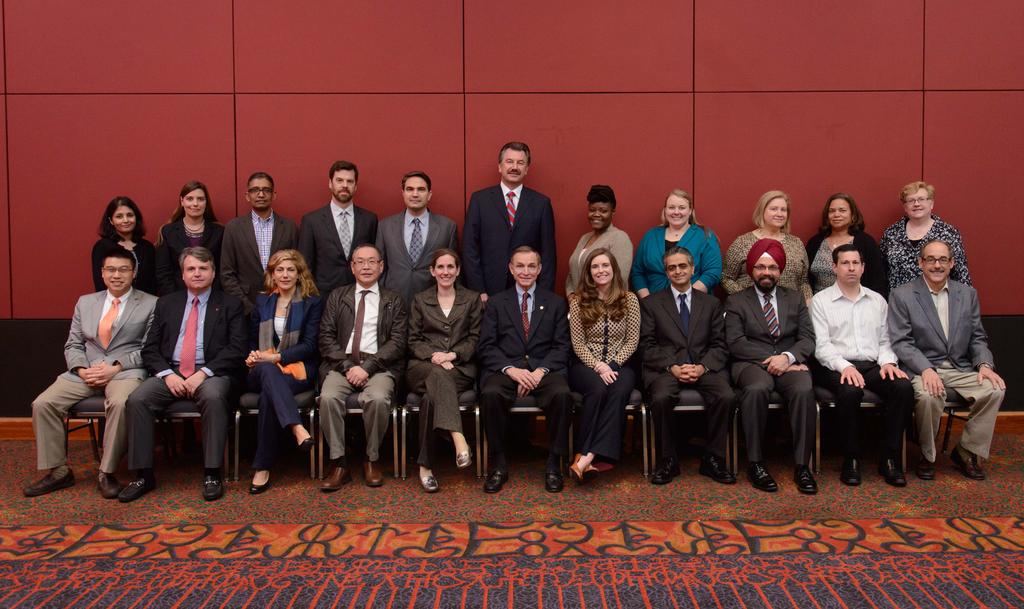 Congratulations Congratulations to the ADEA Leadership Institute Class of 2015! The Comm