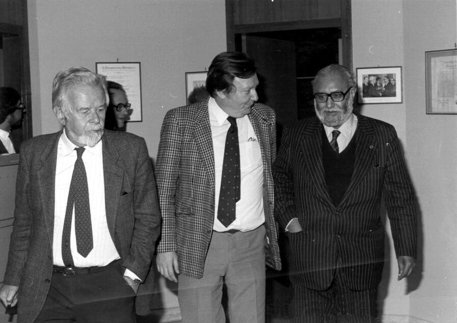 WITH BUDINICH AND CARLO RUBBIA, 1984
