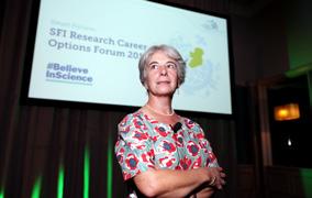2.6 Supporting early career researchers Science Foundation Ireland s early career programmes include the SFI Starting Investigator Research Grant (SIRG), the SFI Career Development Award (CDA), and