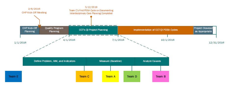 Care Teams QI Projects Timeline 2016 NATIONAL