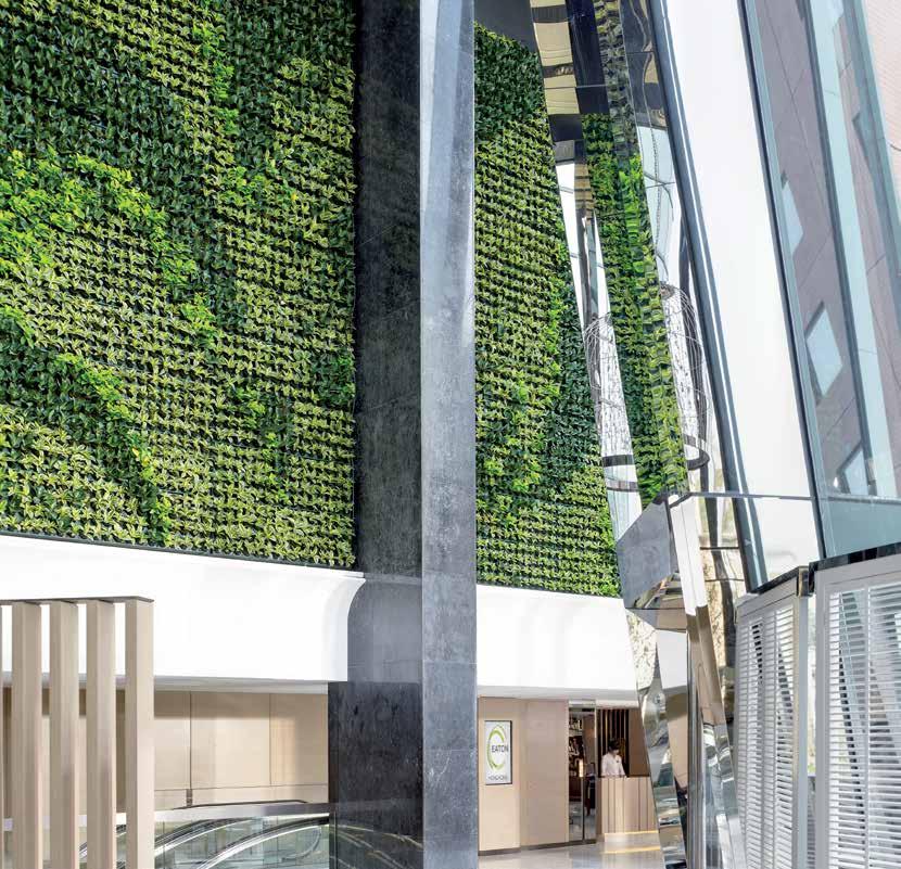 Eaton, Hong Kong s indoor green wall features 3,600 Sansevieria Trifasciata plants chosen for their ability to improve air quality and increase oxygen levels.
