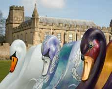 Owl Team previous Bath sculpture trails The team organising the Minerva s Owls 2018 event also organised the King Bladud s Pigs 2008, Lions of Bath 2010 and Swans of Wells 2012 public art sculpture