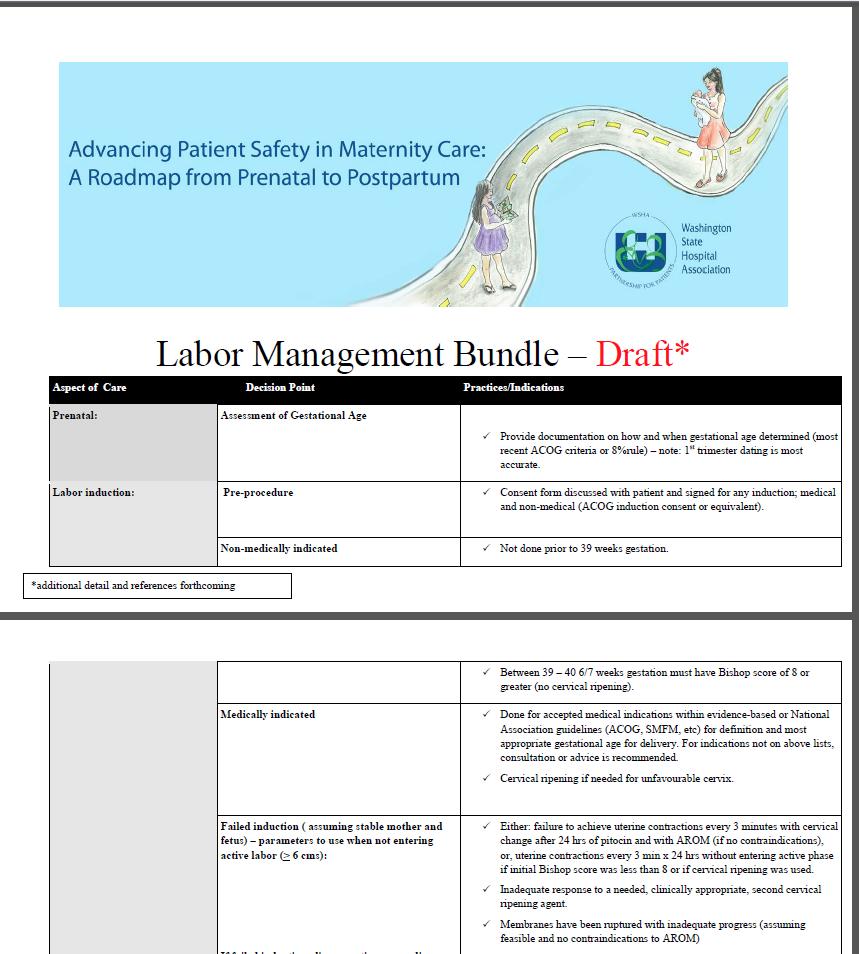 Labor Management Bundle Safe Deliveries Roadmap Website http://www.wsha.org/0513.