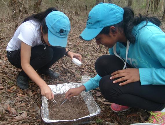 SCHOOL STUDENTS AS RESEARCHERS BANDICOOTS, BUGS & THE BUSH ACTION RESEARCH Bandicoots, Bugs and the Bush is an academic environmental