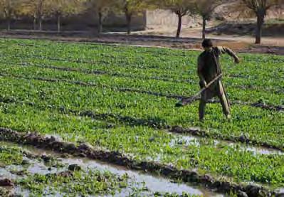 18/ Country Update / ongoing operations canal project turns wastelands into Farmlands in Northern Afghanistan Farmers are able to use previously uncultivatable land to grow crops in Balkh province as