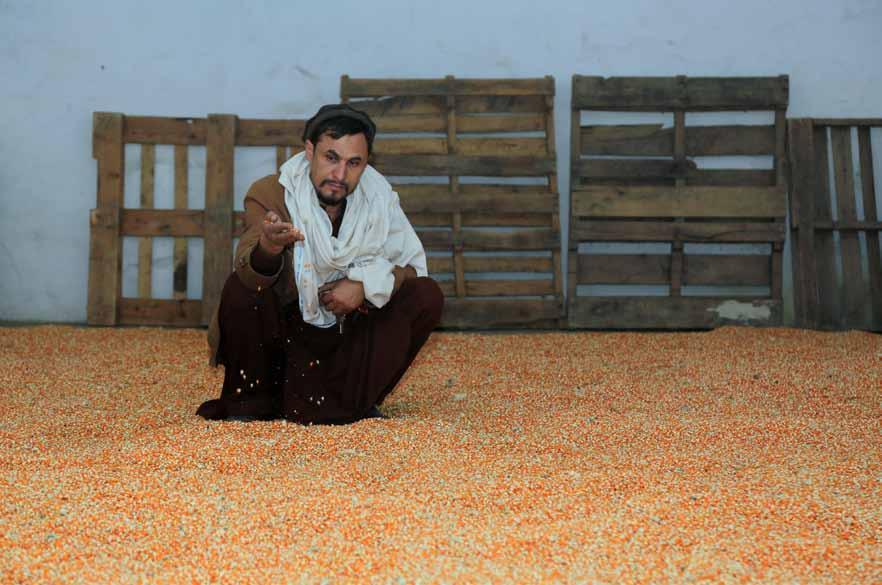 34/ Country Update / artf / The World Bank Group in Afghanistan /35 / ongoing projects Afghanistan Agricultural Inputs Project (AAIP) Grant $67.