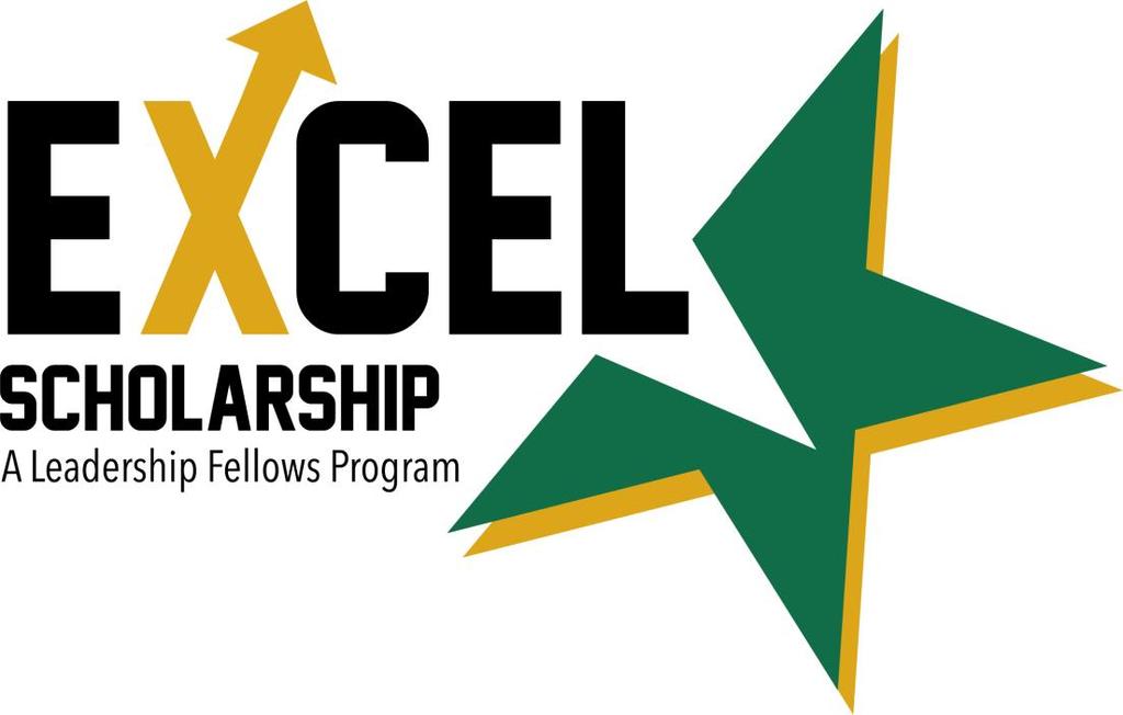 A Leadership Fellows Program Southeastern Louisiana University 2018 Scholarship Application Office for Student Engagement