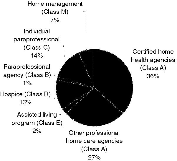 Figure 1 shows that, in 1999, about two-thirds of home care providers were licensed as Class A (certified home health agencies and other professional home care agencies).