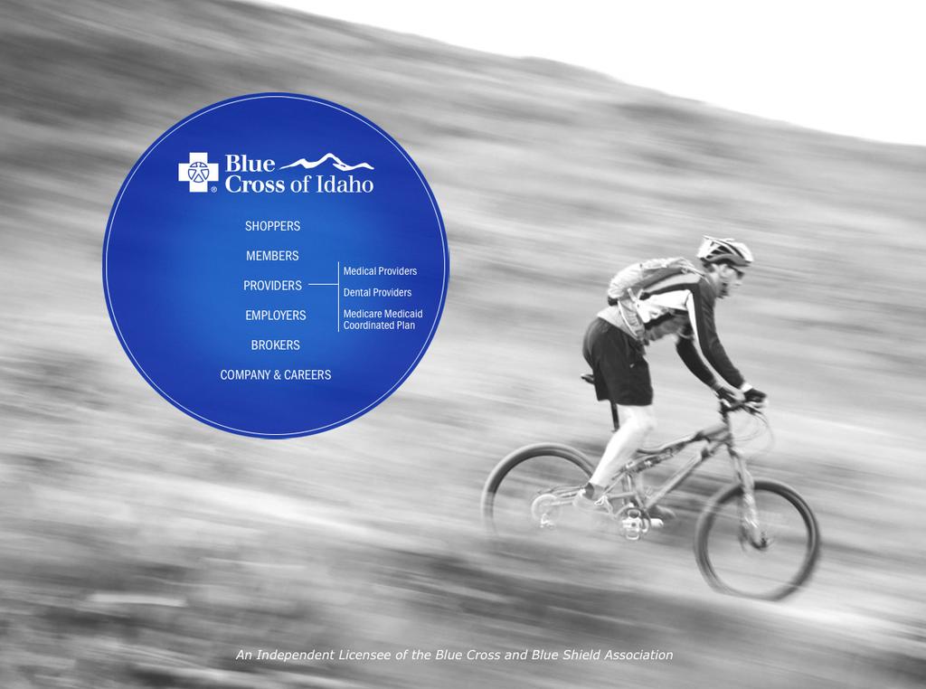 Pre-certification, Pre-authorization and Prior Approval for Blue Plans Online Our provider website, bcidaho.