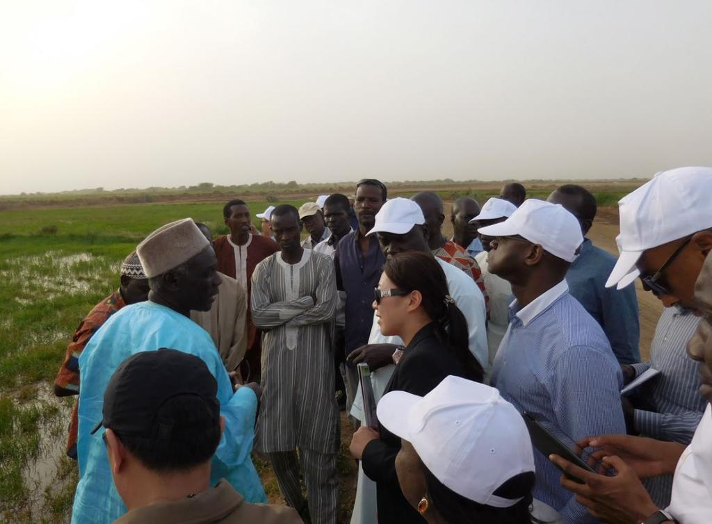 UNIDO will further support the Government of Senegal in establishing three regional Task Forces (i.e. in each region hosting an agro-pole) and work with the MoEFP to mobilize funds and investment for infrastructure development.