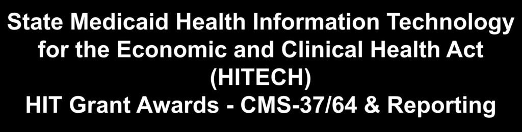 State Medicaid Health Information Technology for the Economic and Clinical Health Act (HITECH)