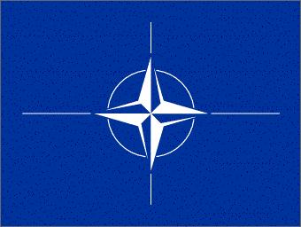 NATO Allies Angered almost