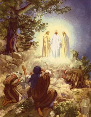 Feast of the Transfiguration August 6, 2017 Fiesta de la Transfiguración 6 de agosto, 2017 FAITH FORMATION - PRE-K GRADE - 5 (727) 442-7081 YOUTH MINISTRY - GRADE 6-8 & HIGH SCHOOL (727) 442-3418