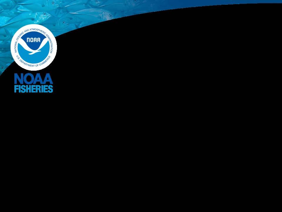 NOAA Fisheries Update Brian Pawlak CFO/CAO Director, Office of