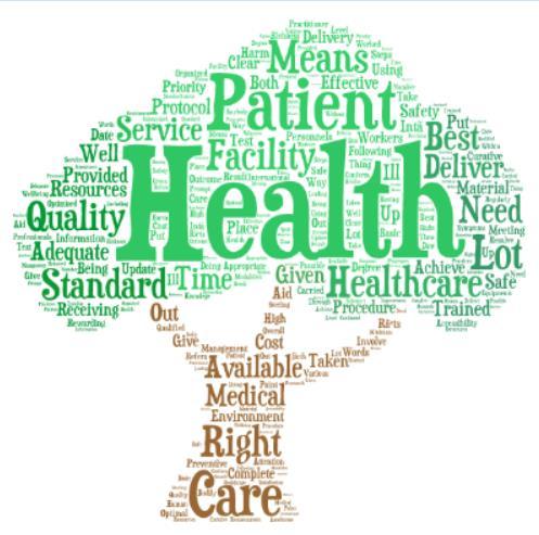 Definitions from Group Delivering healthcare service in an environment where care and safety of your patients and the workers in the