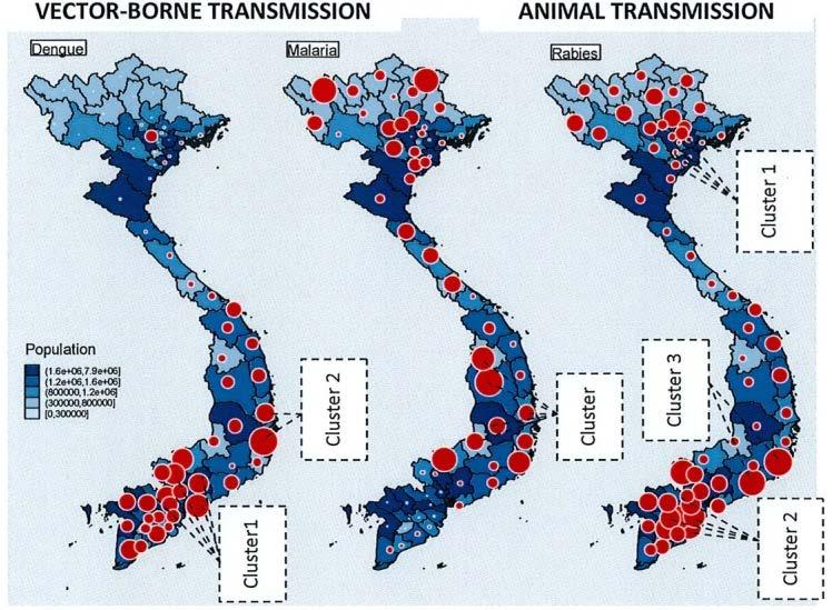 Diversity of infectious diseases in Vietnam Vector - borne transmission distribution Reference: Phung D. et al.