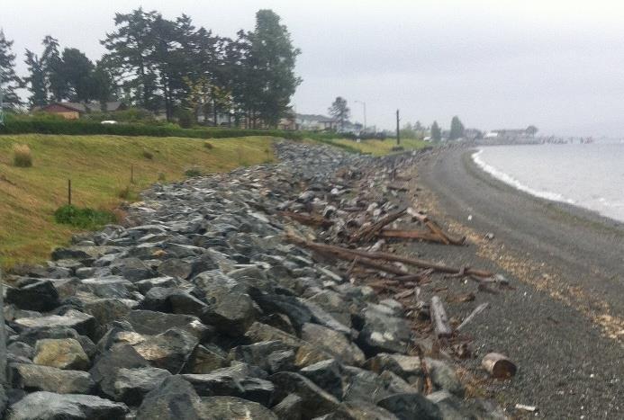most recent restoration project. Options for improving and educating on Sidney s Seawall Policy include: Expert Review.