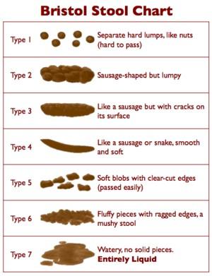 Page 16 of 16 Appendix 1 Bristol Stool Chart Developed by Heaton and Lewis at the University of Bristol.