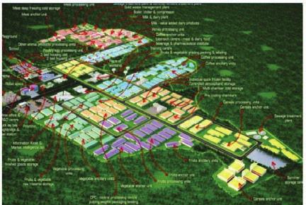 Figure 5: Yirgalem Integrated Agro-Industrial Park Master Plan 43 Thematic focus on selected priority sectors A key feature of the PCP is to focus on selected priority sectors or areas.