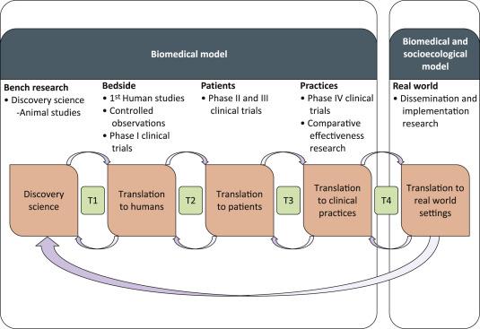 The Research Continuum: [NHLBI] commitment of renewed emphasis on T4 translation research, including dissemination and