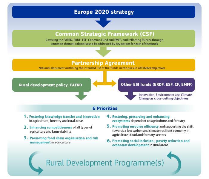 Chapter 1 Policy Context Policy Framework Rural development is a key component of the EU Common Agricultural Policy (CAP).
