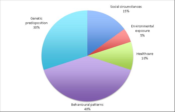 Figure 2: Prprtinal cntributin t premature death In 2012, five pririty areas were agreed by the then Ealing Shadw Health and Wellbeing Bard t imprve health and reduce inequalities in Ealing.