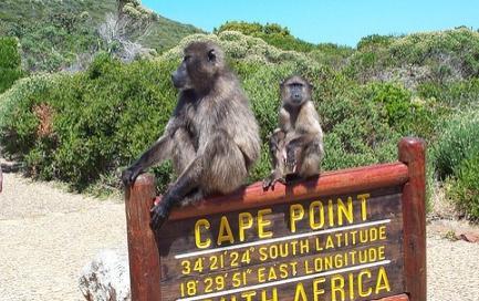 Tourism: Cape Point At the tip of the Cape Peninsula