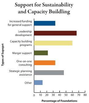 To help meet the increasingly important sustainability and capacity-building needs of nonprofits, foundations also provide staff and board leadership development, capacity-building programs,