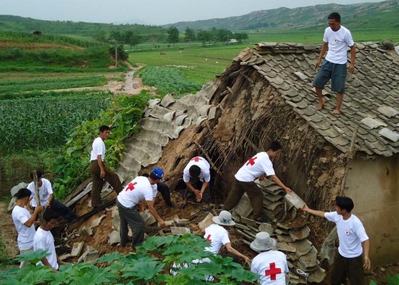 The International Federation of Red Cross and Red Crescent Societies (IFRC) is the largest humanitarian organization operating in the Democratic People s Republic of Korea (DPRK) since 1995.
