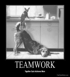 Key Elements for Successful Teamwork