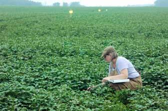 DEMAND OCCUPATION IN TOMPKINS COUNTY Agricultural and Food Science Technicians Agricultural and Food Science Technicians measure the quality of agricultural products in order to ensure its