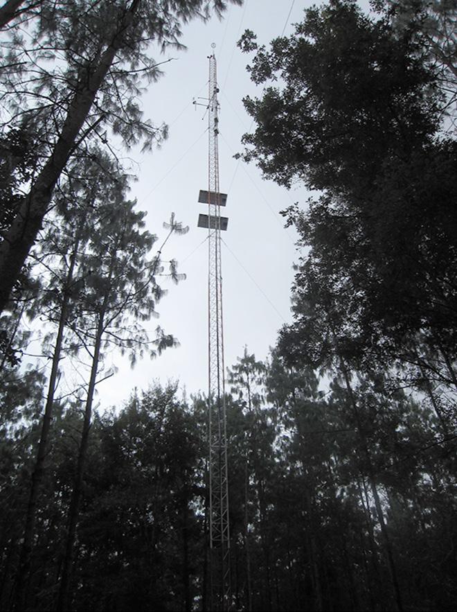 USAID and U.S. Forest Service Carbon Flux Tower in Mexico Supported Sustainable Landscapes USAID funding of approximately $1 million, through an interagency agreement with the U.S. Forest Service, supports carbon monitoring sites in Mexican forests.