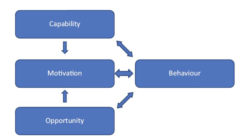 2.4 Theoretical framework If a desired behaviour is not occurring (or an undesirable behaviour occurring) then an analysis of the determinants of the behaviour will help to define what needs to shift