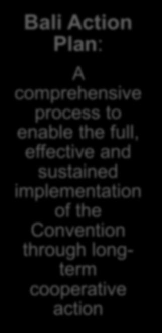 implementation of the Convention through longterm