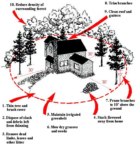 2014 Year, Issue 1 Page 5 CREATING A DEFENSIBLE SPACE FROM FIRE A defensible space breaks up the continuous path of plants that could carry wildfire to your home.