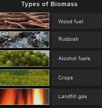 Biomass heating systems meet Leadership in Energy and Environmental Design (LEED) requirements for green buildings, and because of their cost effectiveness, biomass heating may potentially qualify