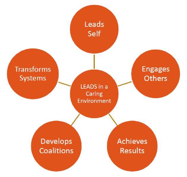 LEADS in a Caring Environment Describes the key skills, behaviours, abilities and knowledge required to lead in all areas and at all levels within the