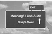 Meaningful Use Audits Audits In early 2012, the U.S.