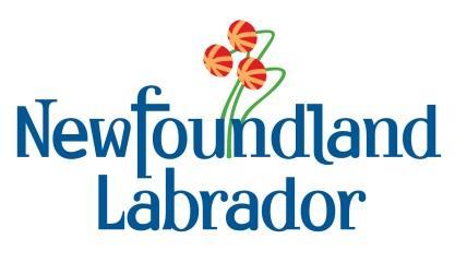 Government of Newfoundland and Labrador Department of Health and Community Services Provincial Blood Coordinating Program SUBCUTANEOUS IMMUNE GLOBULIN (SCIG) HOME INFUSION PROGRAM Office of