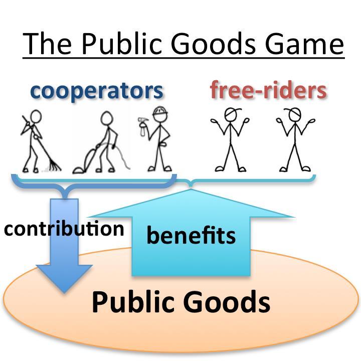 Public good: A public good is a shared good or service for which it would be