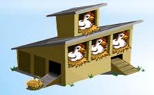 In Conclusion on COOP Not a Chicken Coop By implementing this