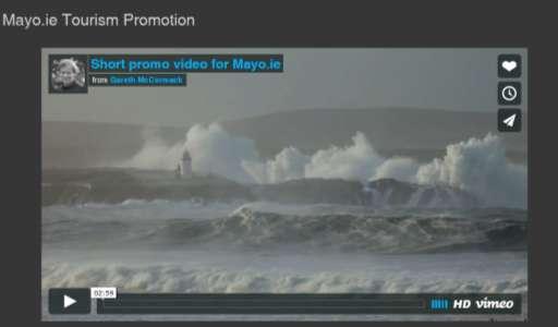 Image of Wild Mayo Video.