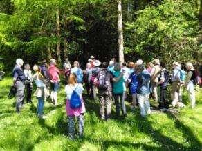 The Mayo Naturalists Field Club organised outings and talks on some of the most interesting and valuable natural habitats to be found in Mayo, including lake shore, limestone pavement and woodland,