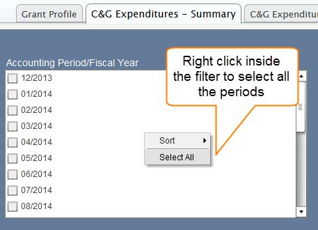 C&G Expenditures Summary Accounting Period Based on